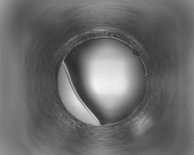 X0000079330821200611170954