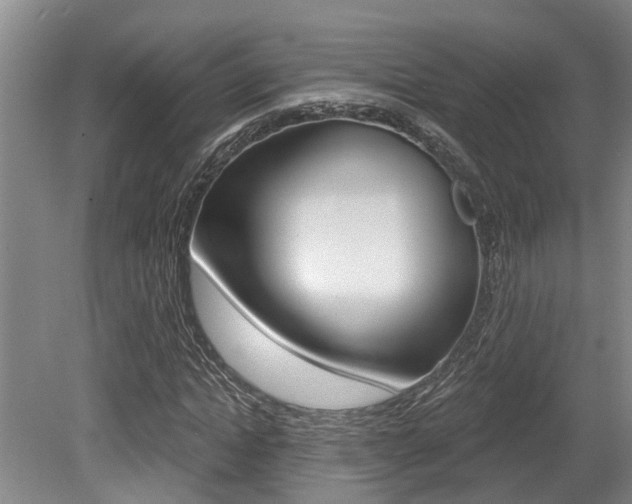 X0000079330822200611170954