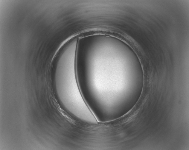 X0000079330830200611170954