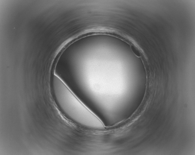 X0000079330837200611170954