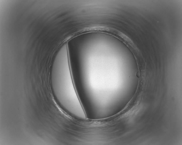 X0000079330841200611170954