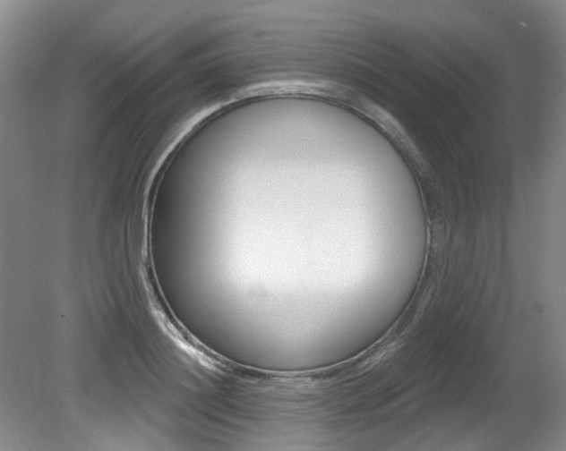 X0000079330844200611170954