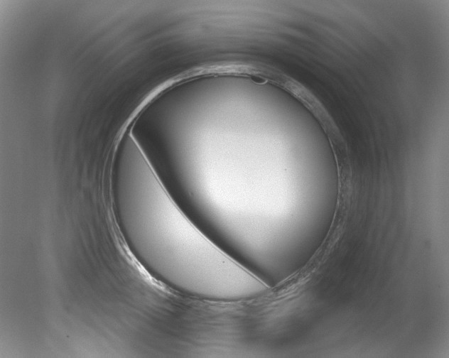 X0000079330852200611170954