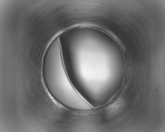 X0000079330853200611170954