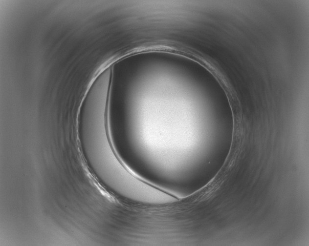 X0000079330858200611170954