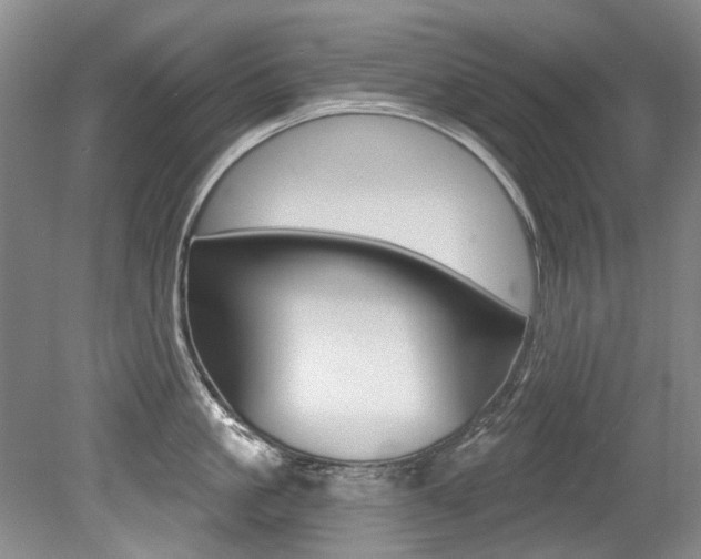 X0000079330861200611170954