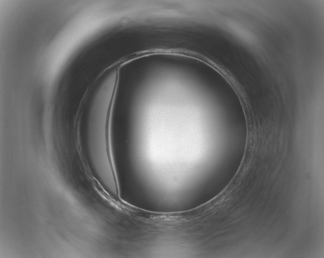 X0000079330862200611170954
