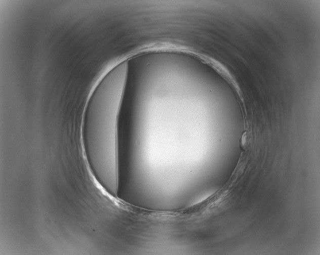 X0000079330863200611170954