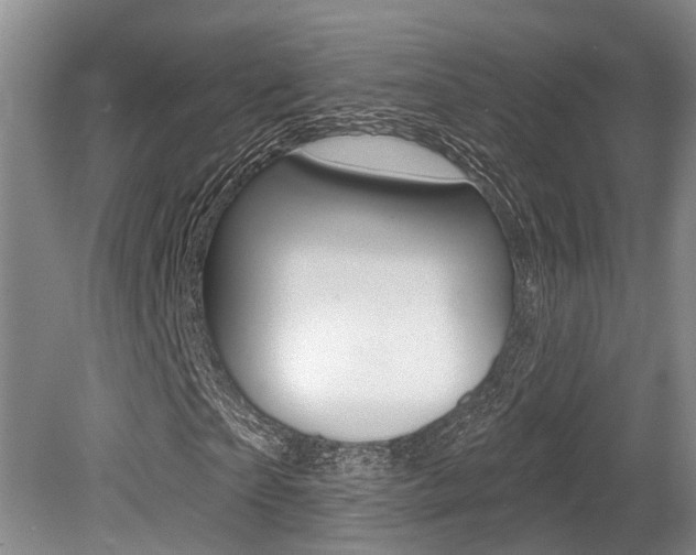 X0000079330865200611170954