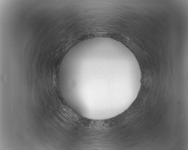 X0000079330866200611170954