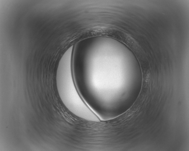 X0000079330868200611170954