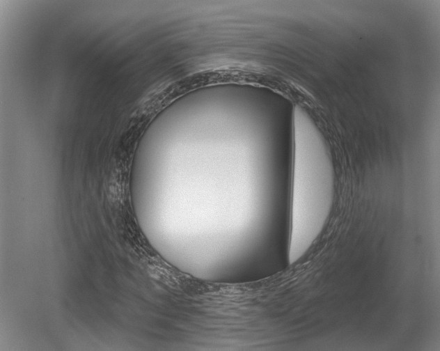 X0000079330869200611170954