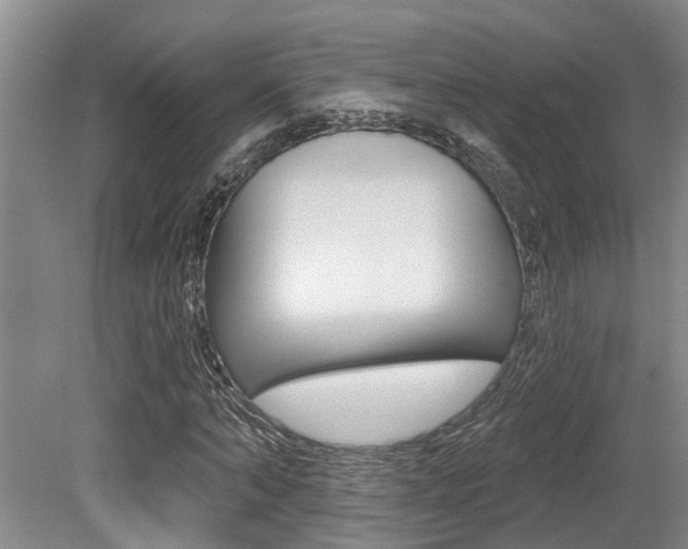 X0000079330870200611170954