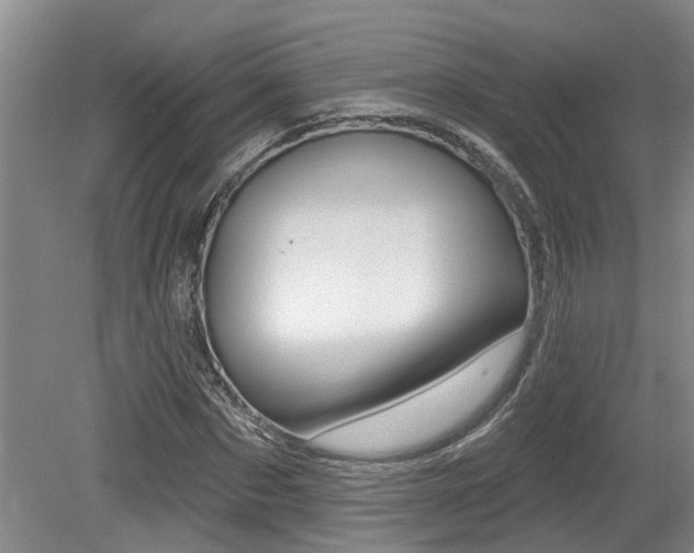 X0000079330873200611170953