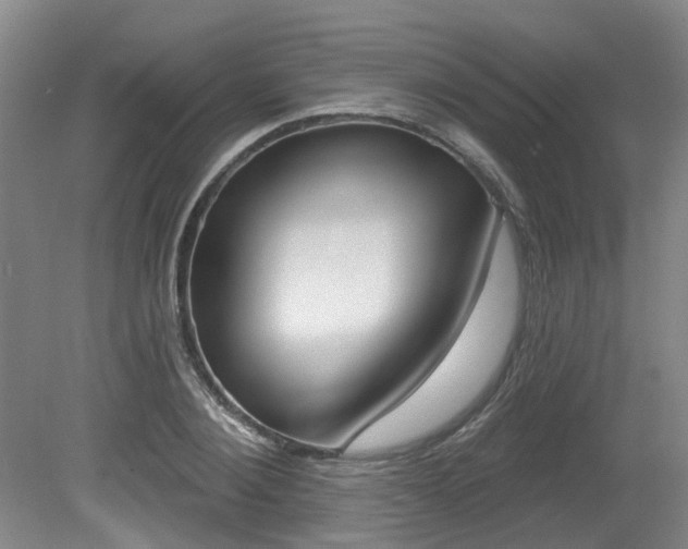 X0000079330884200611170953