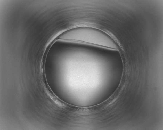 X0000079330885200611170953