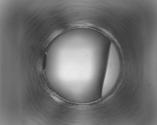 X0000079330889200611170953