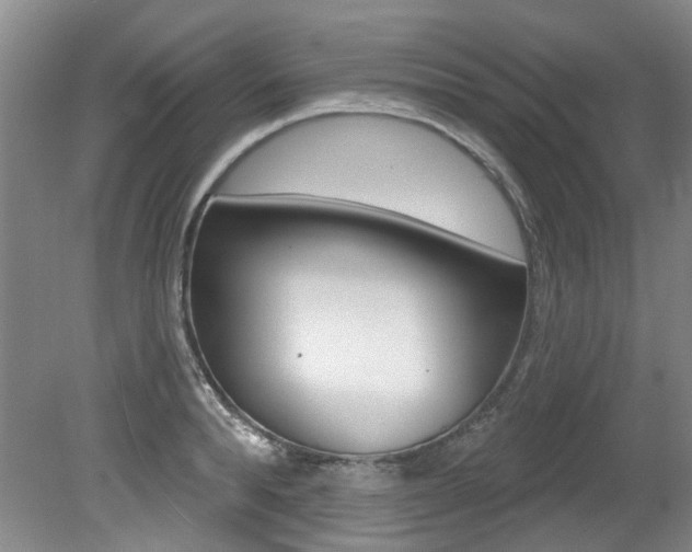 X0000079330896200611170953