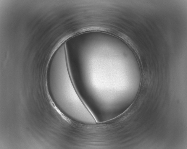 X0000079330898200611170953