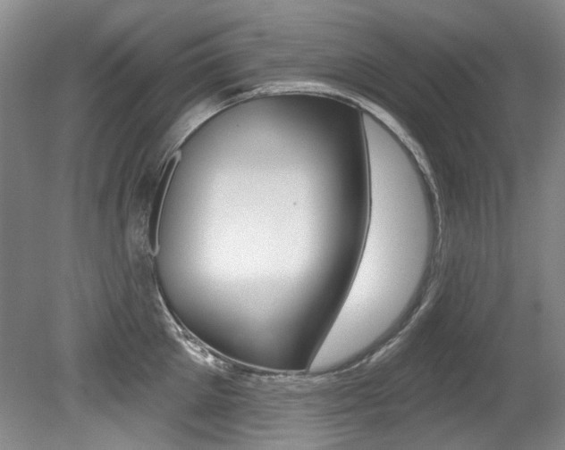 X0000079330905200611170953