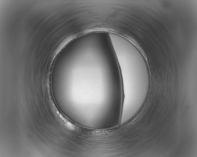 X0000079330906200611170953
