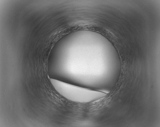 X0000079330917200611170952