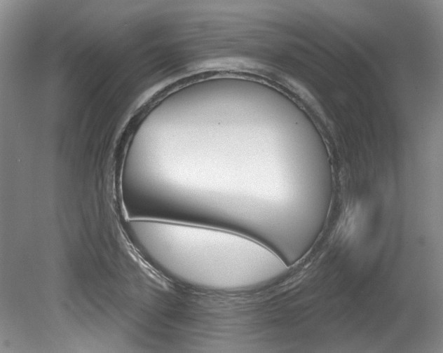 X0000079330931200611170952