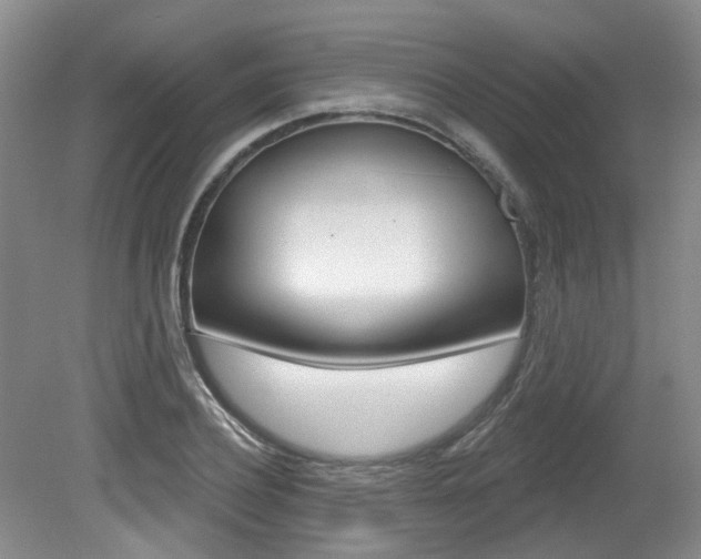 X0000079330932200611170952