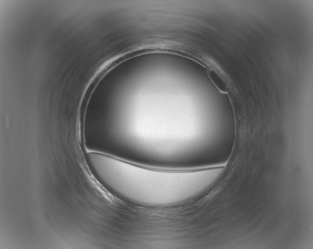 X0000079330940200611170952
