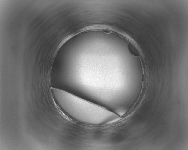X0000079330953200611170953