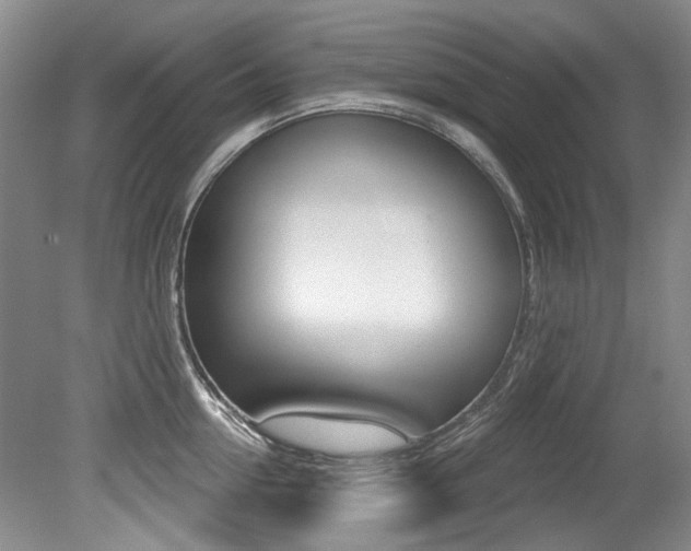 X0000079330954200611170953