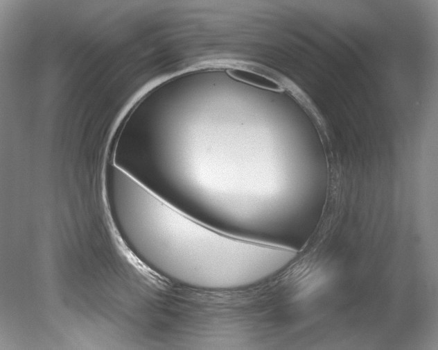 X0000079330955200611170953
