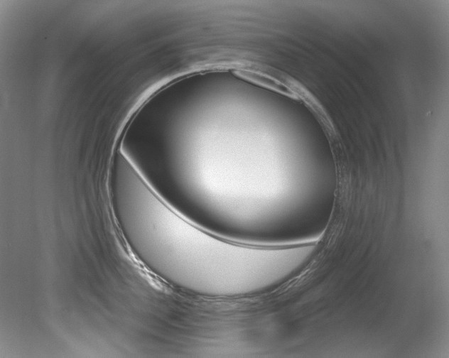 X0000079330956200611170953