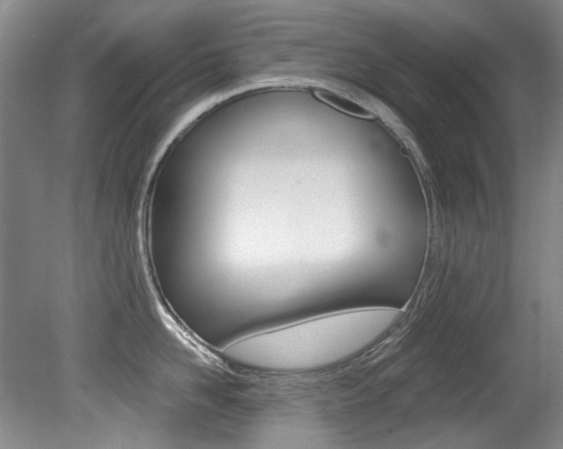 X0000079330958200611170953