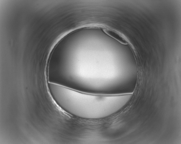 X0000079330959200611170953