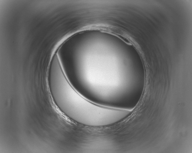 X0000079330960200611170953