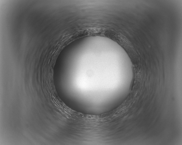 X0000079330961200611170952