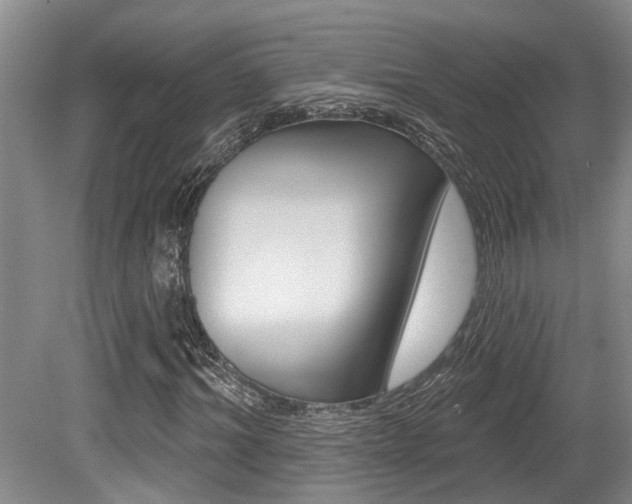 X0000079330964200611170952