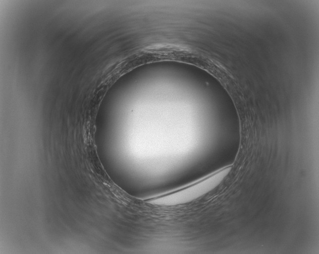 X0000079330965200611170952