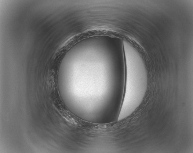 X0000079330968200611170952