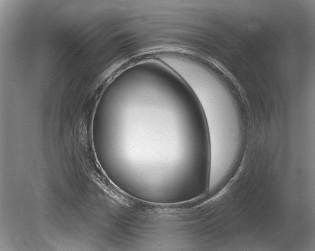 X0000079330969200611170952