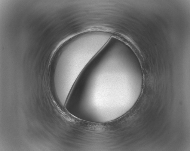 X0000079330971200611170952