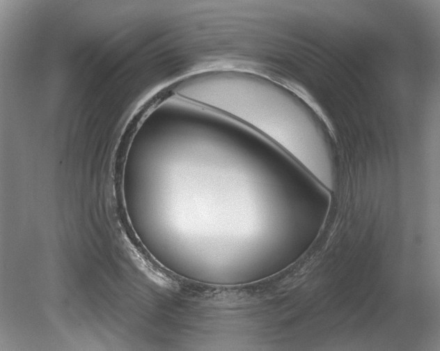 X0000079330972200611170952
