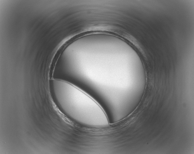 X0000079330980200611170952