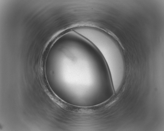 X0000079330981200611170952