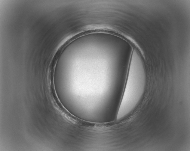 X0000079330983200611170952