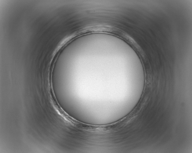X0000079330986200611170952