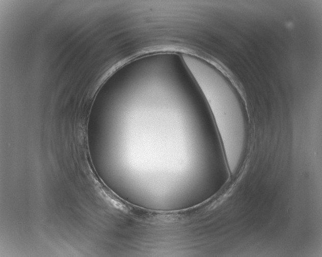 X0000079330993200611170951