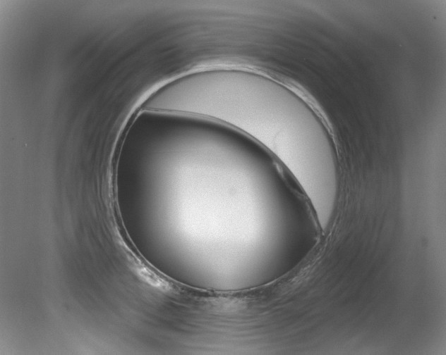 X0000079330996200611170951