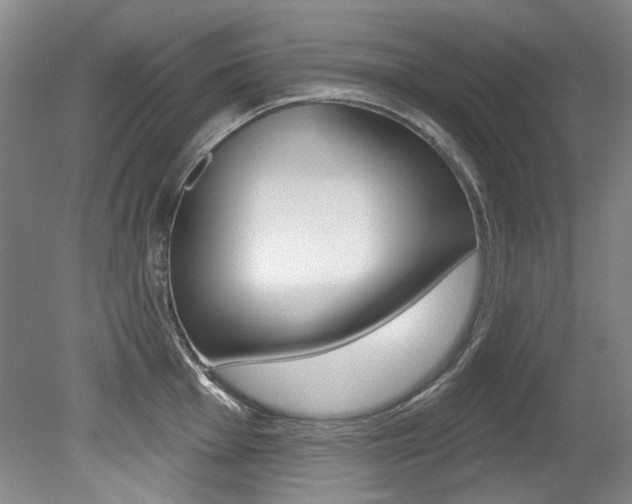 X0000079331001200611170951